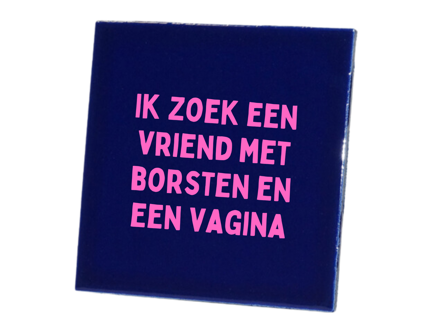 Tegeltje Ik zoek een vriend met borsten en een vagina